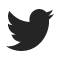 Twitter Icon